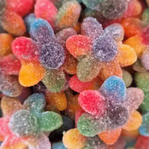 Kingsway Rainbow Flowers