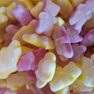 Damel Jelly Filled Bears