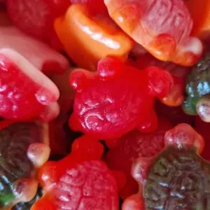 Vidal Jelly Filled Snails